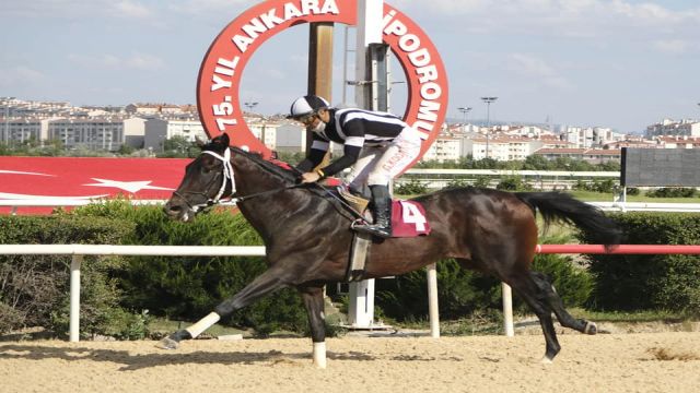 TSYD Ankara Şubesi Koşusu'nu Uğurtay kazandı