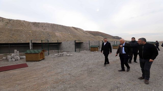 Başkent'ten haber | Can dostlar için Yenimahalle'de yeni barınak