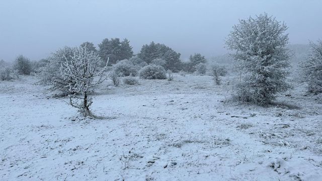 Başkent'ten haber | Mevsim'in ilk karı düştü