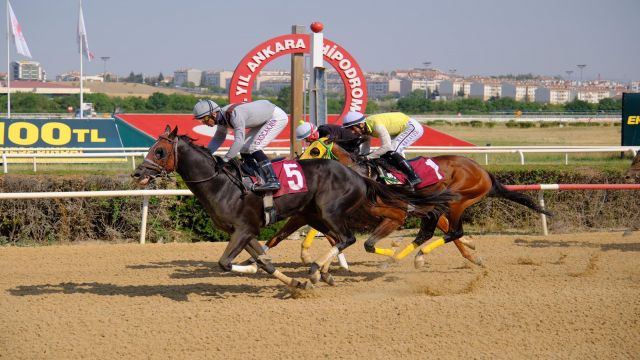 Gazeteciler Cemiyeti Koşusu'nu Black Pablo kazandı