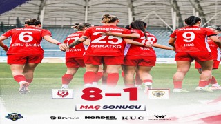 ABB Fomget doludizgin 8-1